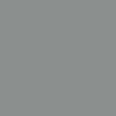 Ash Grey swatch