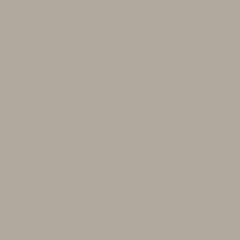 Warm Ash Grey swatch